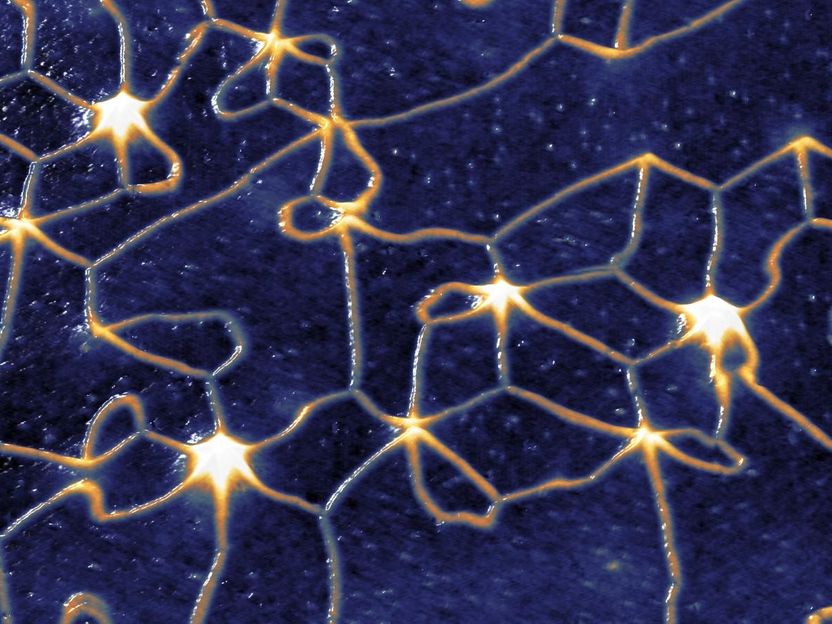 Antiferromagnetic network with direction of rotation