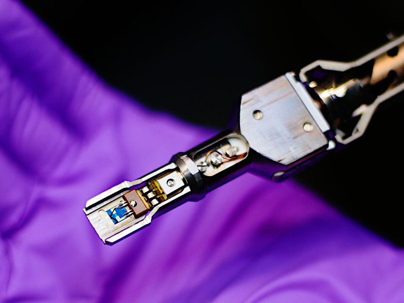 Ultra-thin two-dimensional materials observed for the first time in a state between solid and liquid