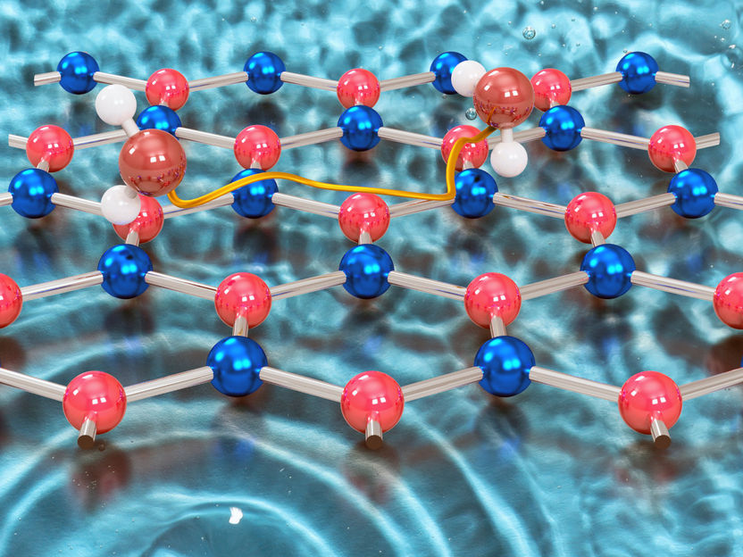Water molecules in motion: Surprising dynamics on 2D materials